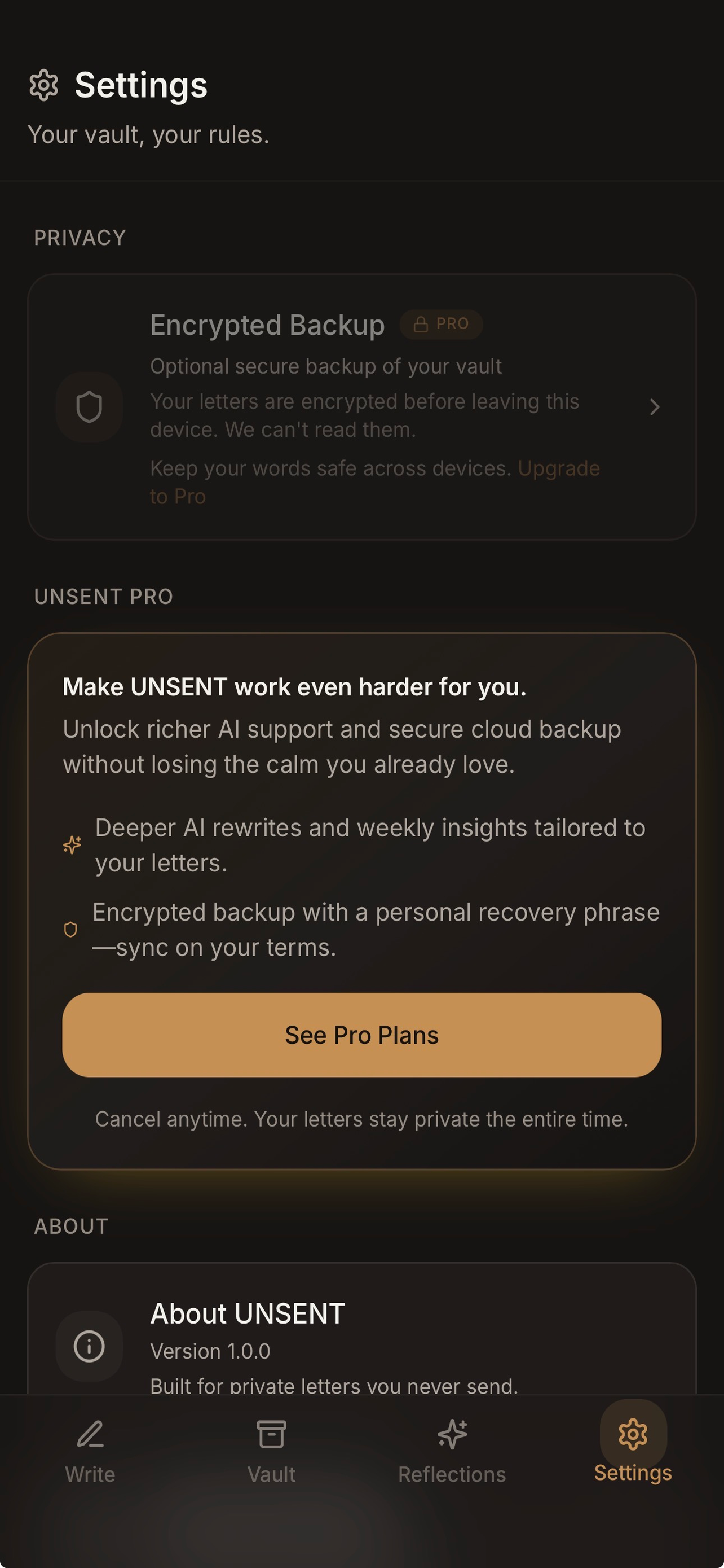 UNSENT - Letters Never Sent screenshot 7