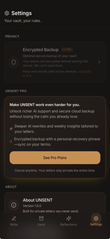 UNSENT - Letters Never Sent screenshot