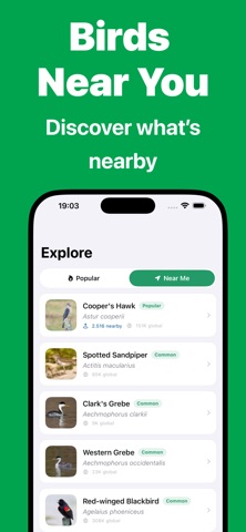 Bird Call Identifier - Bird ID iPhone screenshot