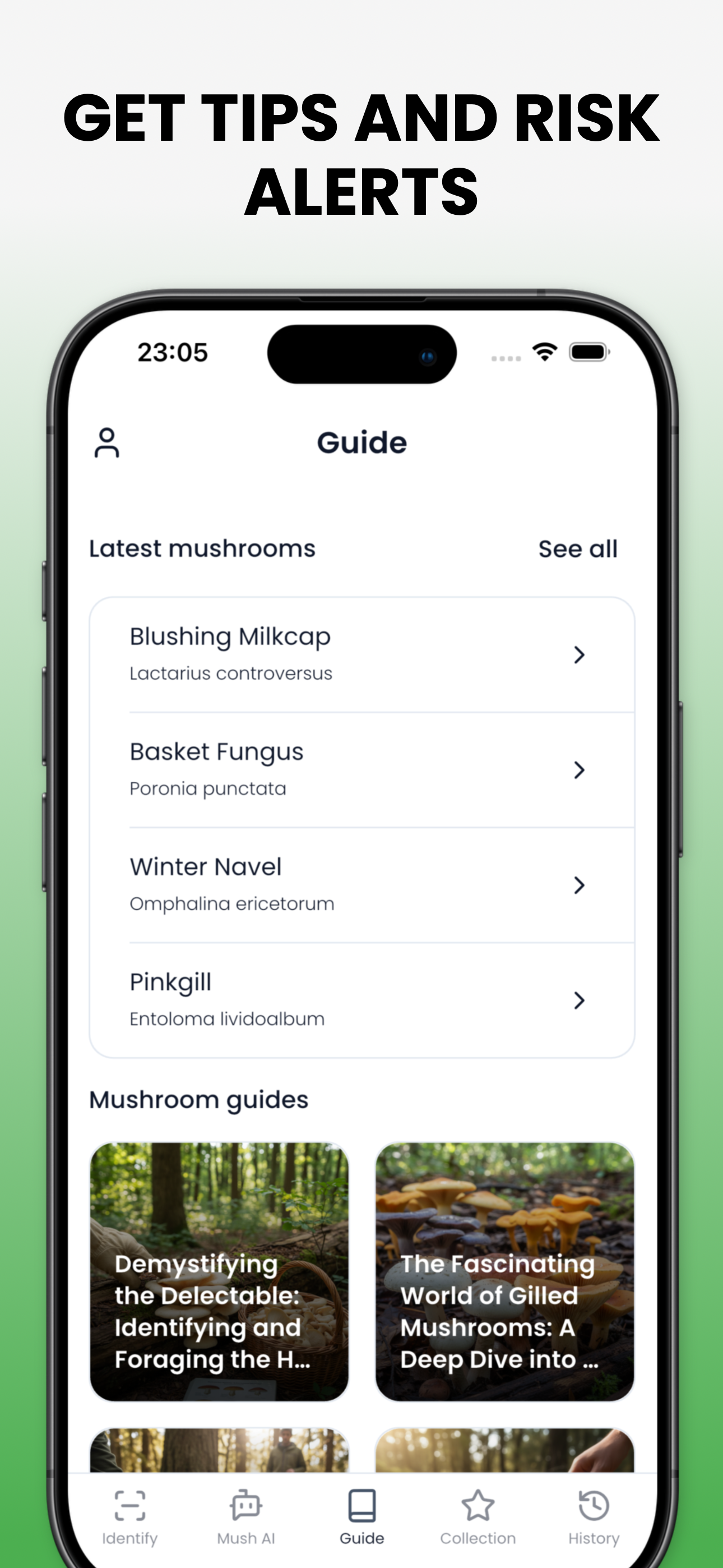 Mushroom Identifier - Mushby