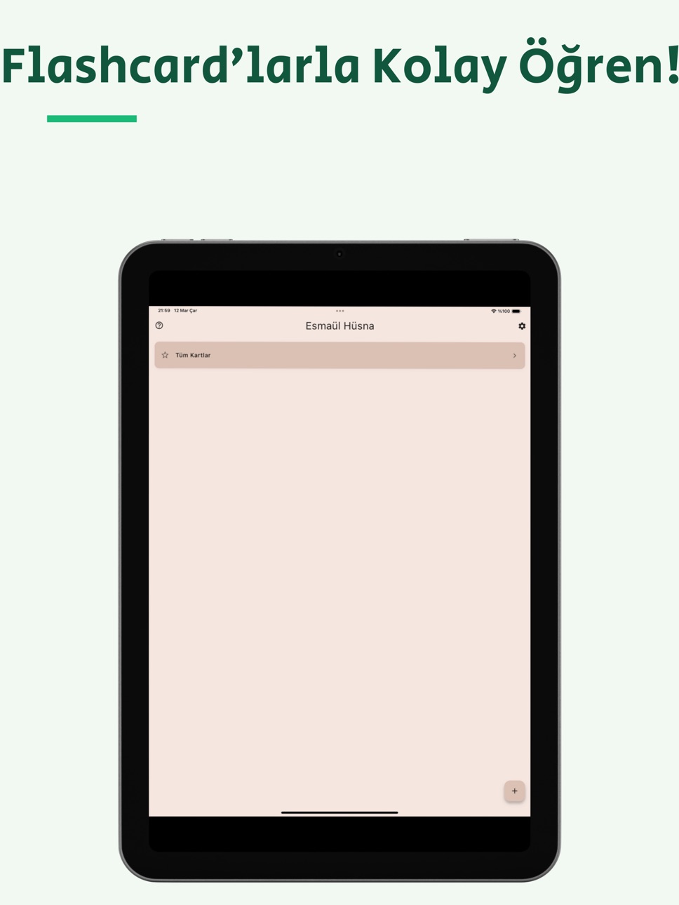 iPad screenshot