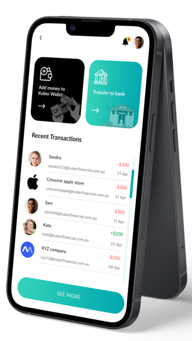 Kuber Financial Screenshot