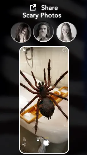 Capture d'écran de ARSpiders.com Spider On Face sur iPhone 2