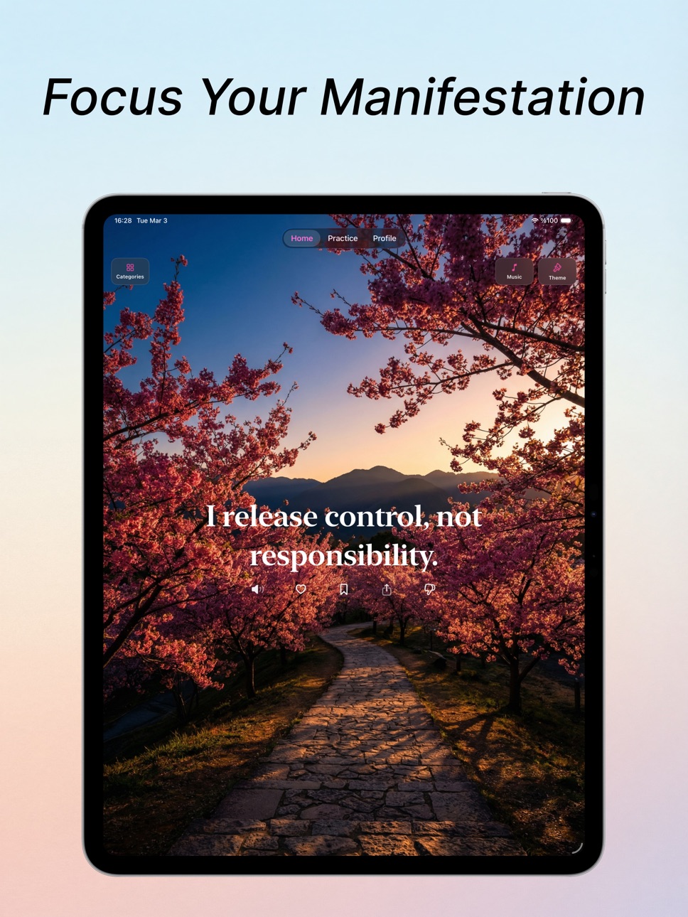 iPad screenshot