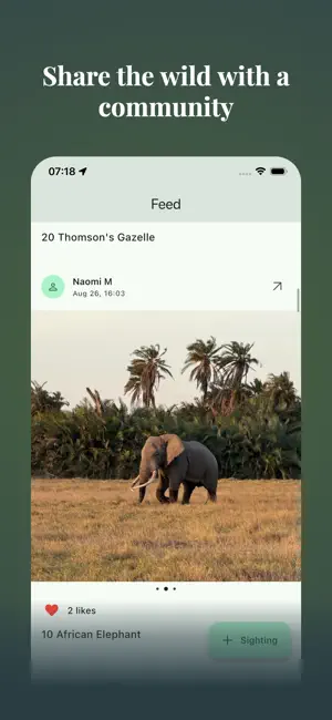 Bushwak: African safari guide screenshot 3