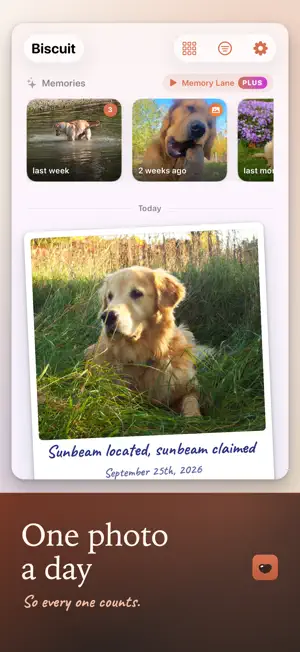 Boop Book screenshot 1