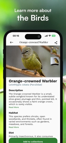 Bird Identifier: - BirdLens screenshot