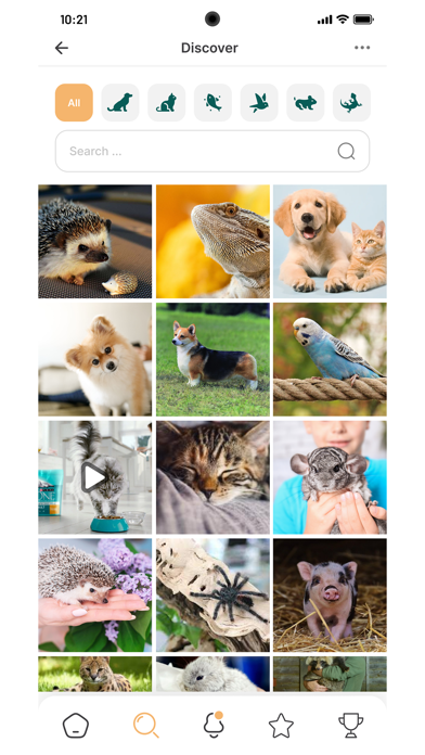 PetTopia Screenshot