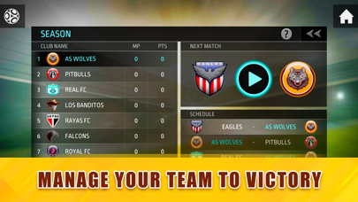 Soccer starz - football kick Screenshot