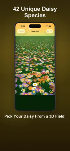 230x488bb.webp