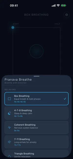 Pranava Breathe screenshot 2