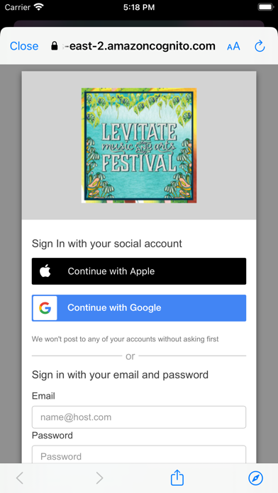 Levitate Music & Arts Festival Screenshot