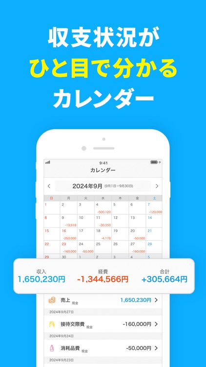 Small Biz Budget - Accounting screenshot-8