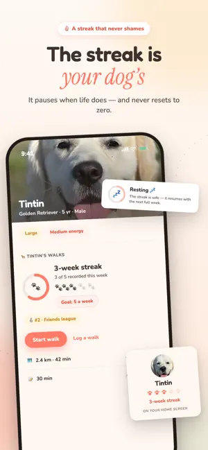 Amidipet: Dog Walks & Friends screenshot 3
