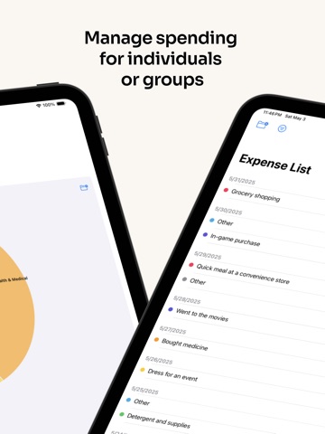Expense Tracker "Cateibo" iPad screenshot