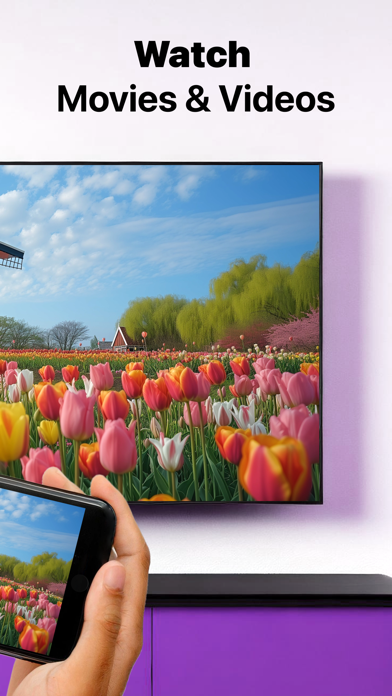 Sony TV Screen Mirroring Cast Screenshot