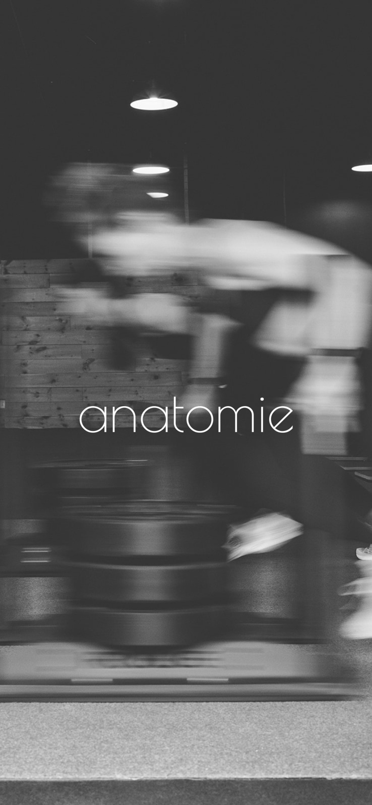 ANATOMIE