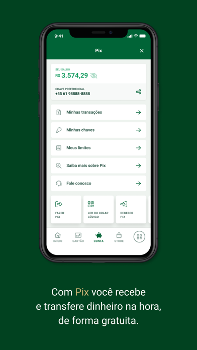 Palmeiras Pay Screenshot