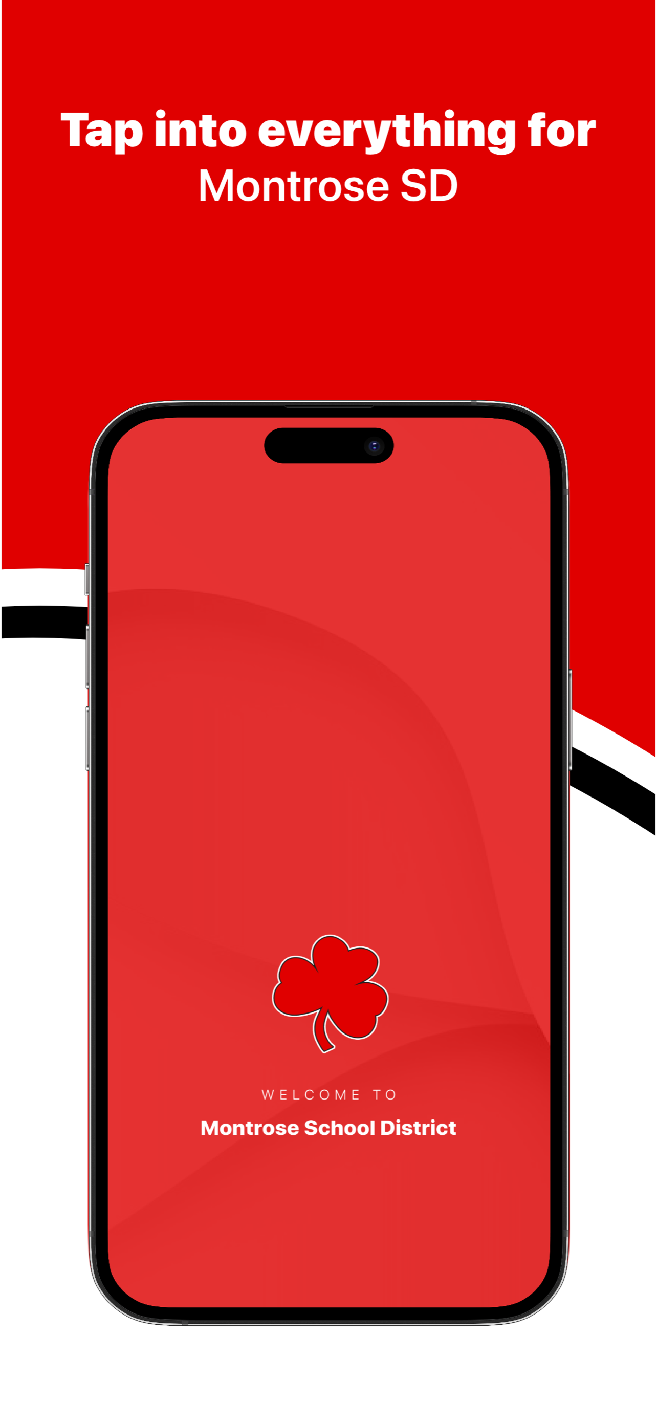 Montrose School District 43-2