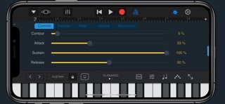ANALOGyXS Screenshot 2 of 5