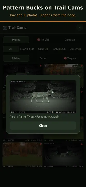 Whitetail Ridge screenshot 3