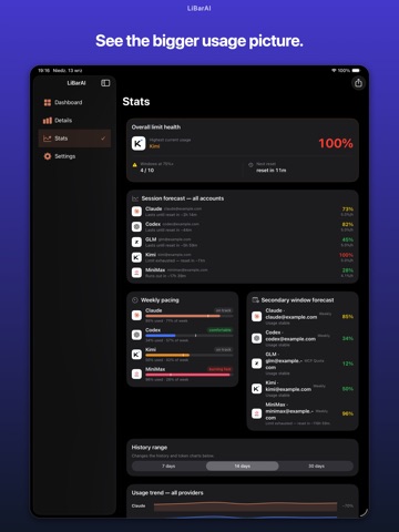 LibarAI iPad screenshot 3