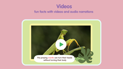 Insects and Bugs for kids Screenshot