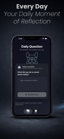 DQA: Daily Question App Screenshot 1 of 4