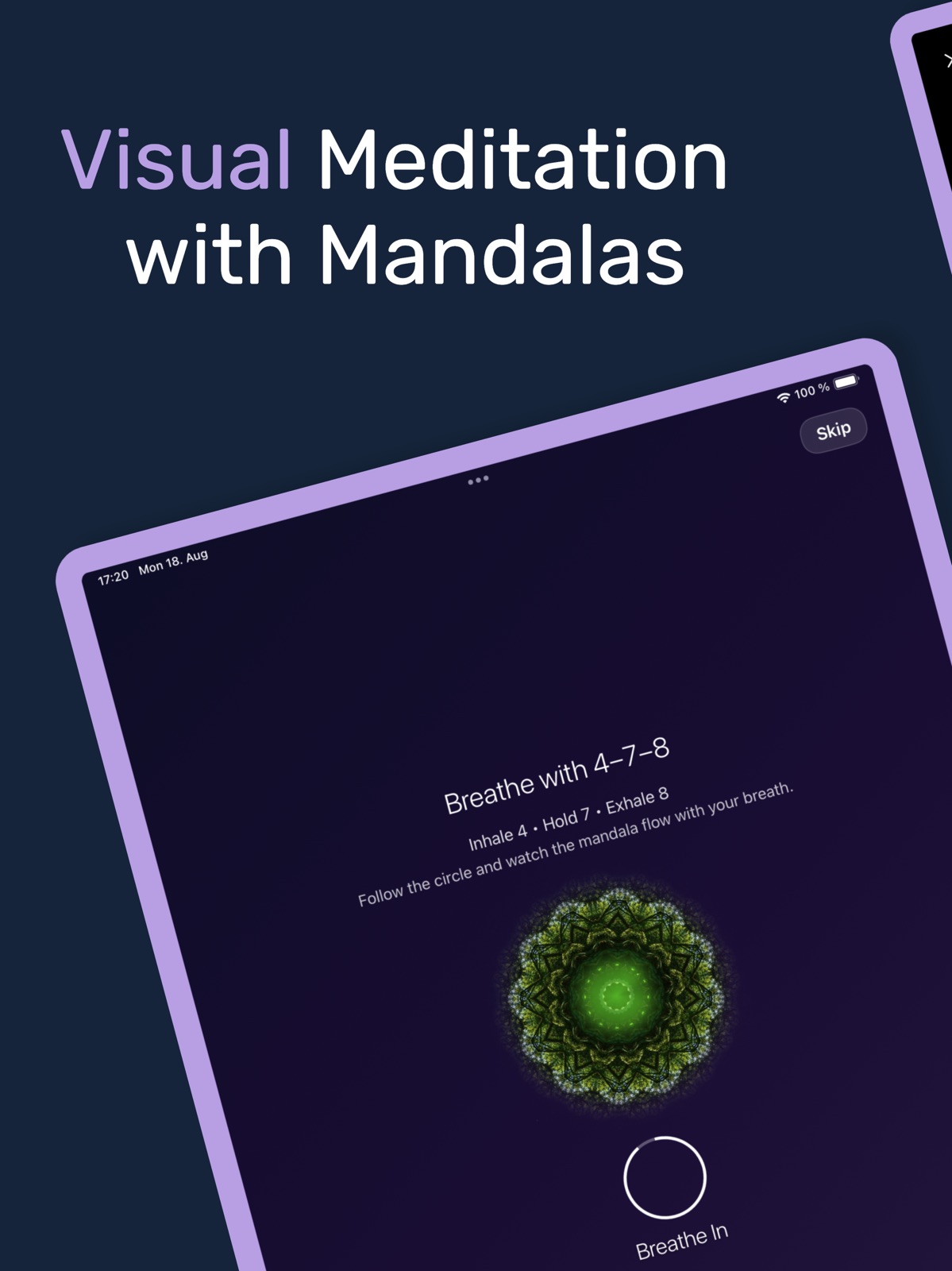 Mandala Visual Meditation Art ipad screenshot 1