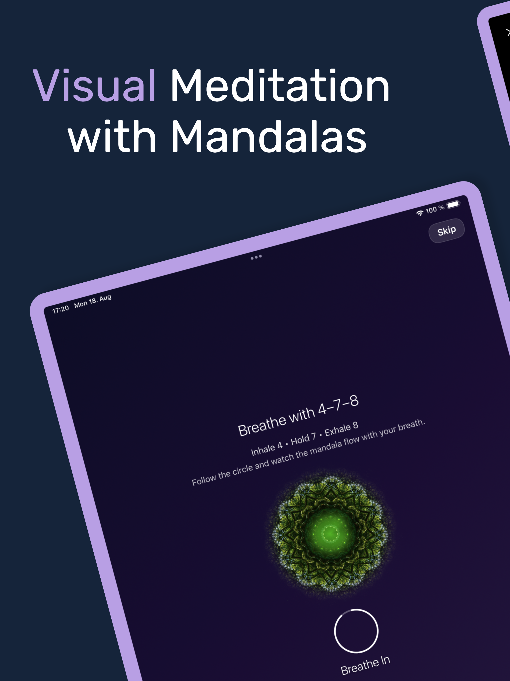 Mandala Visual Meditation Art