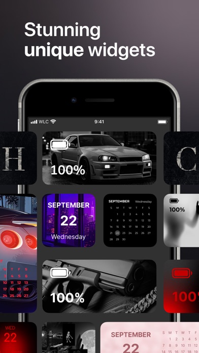 Reskin: Themes, Widgets, Icons Screenshot
