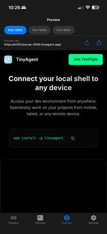 Tinyagent screenshot