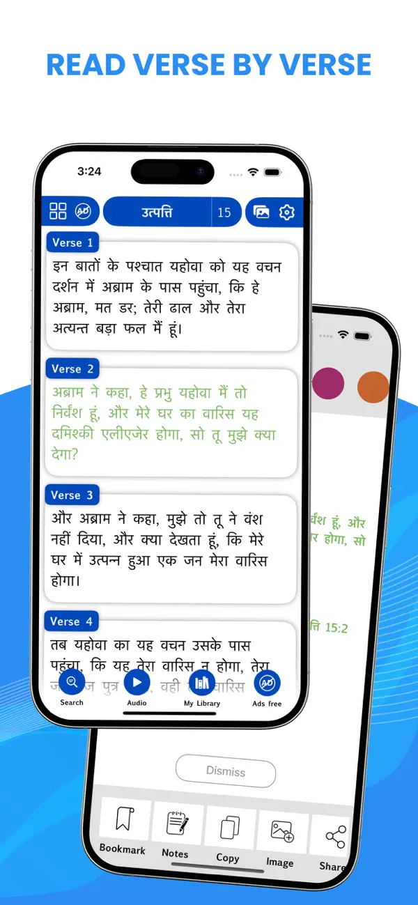 Screenshot #1 pour The Hindi Bible