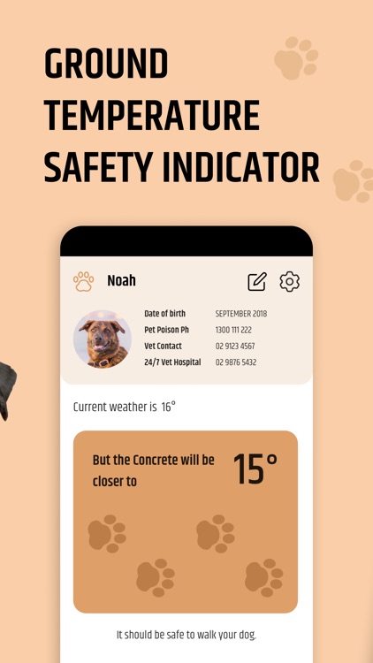 Dog & Puppy Care: Pet Pawtal