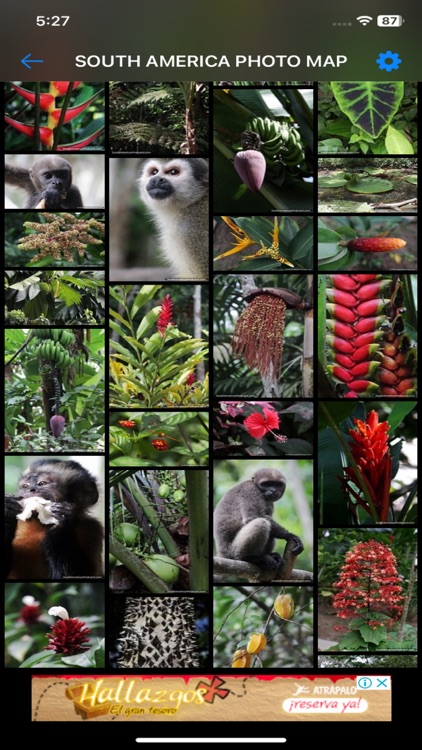 South America Photo Map