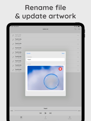 Easy Video Audio Extractor iPad screenshot