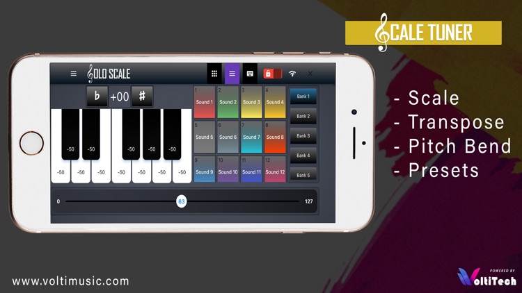 Solo Scale Controller