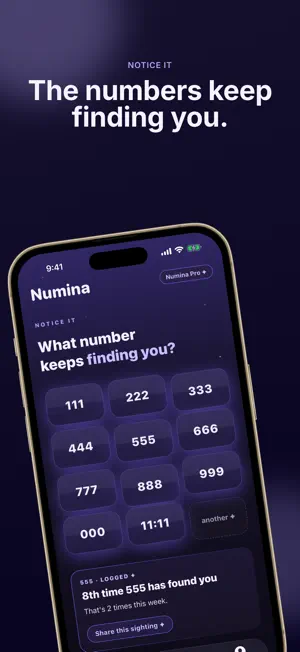 Numina: Synchronicity Journal screenshot 2