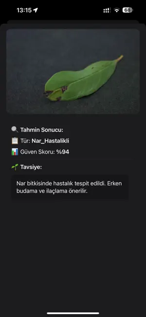 LeafAI screenshot 3
