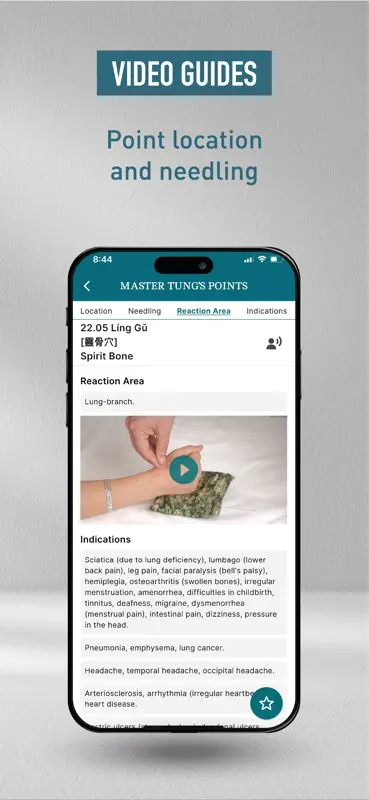Master Tung's points screenshot 6 of 9