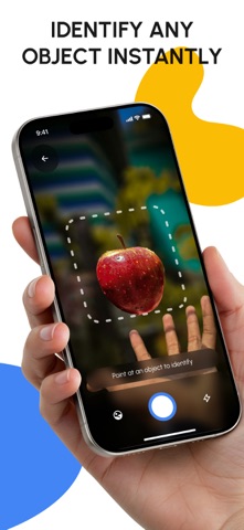 Lens Identify Image, Scan screenshot