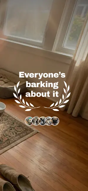 Bark Buddy - AI Dog Translator screenshot 2