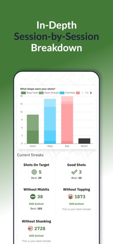 SwingSync screenshot