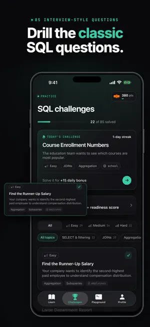Query Dojo: SQL Practice screenshot 2