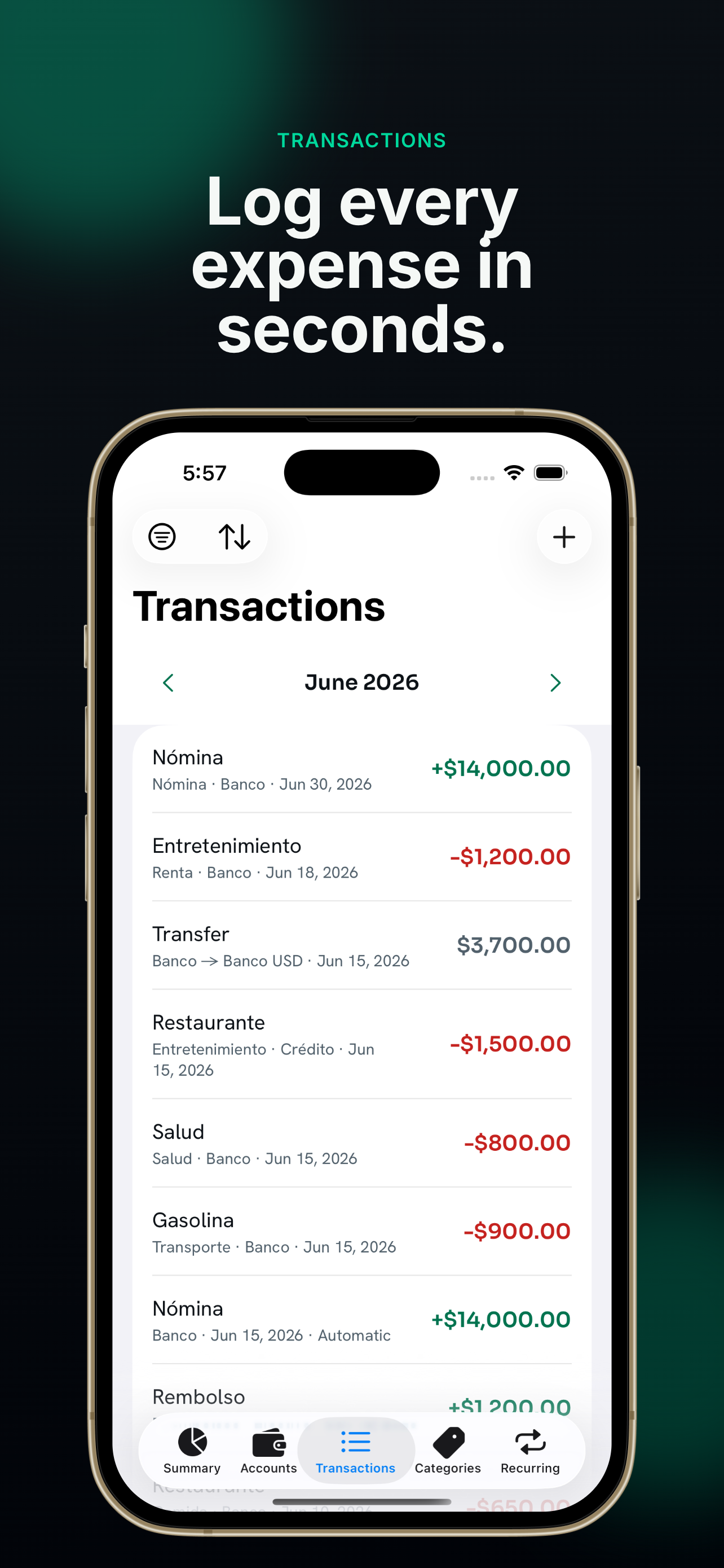Caudara: Cash Flow screenshot 5