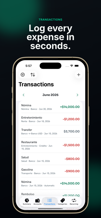 Caudara: Cash Flow Screenshot 5 of 7