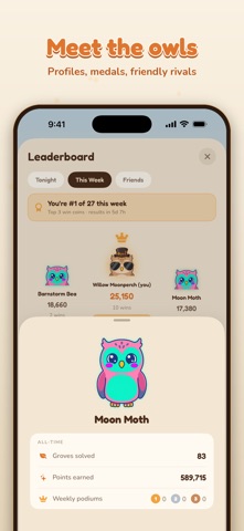 Hoodoku screenshot 8