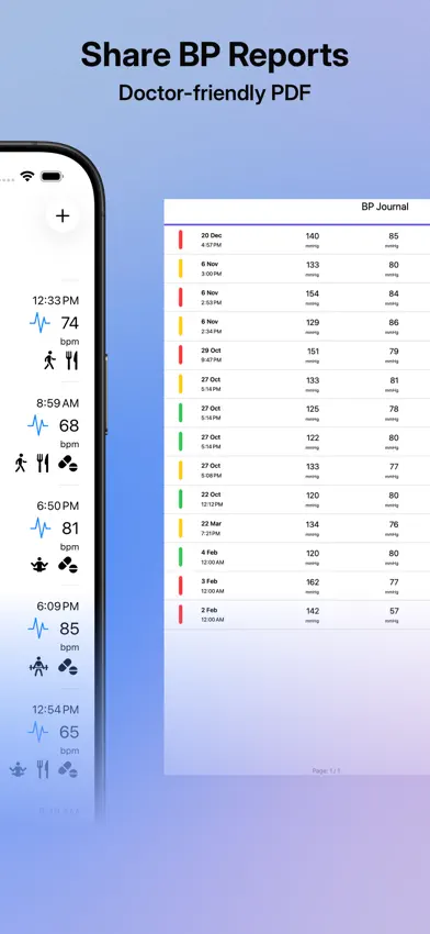 BP Journal screenshot 2