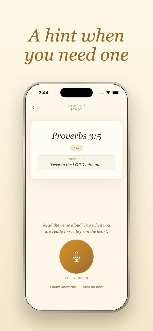 Screenshot #3 pour OneNineteen: Scripture Memory