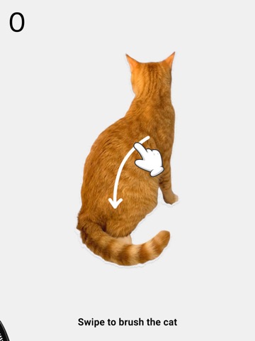 Brush The Cat